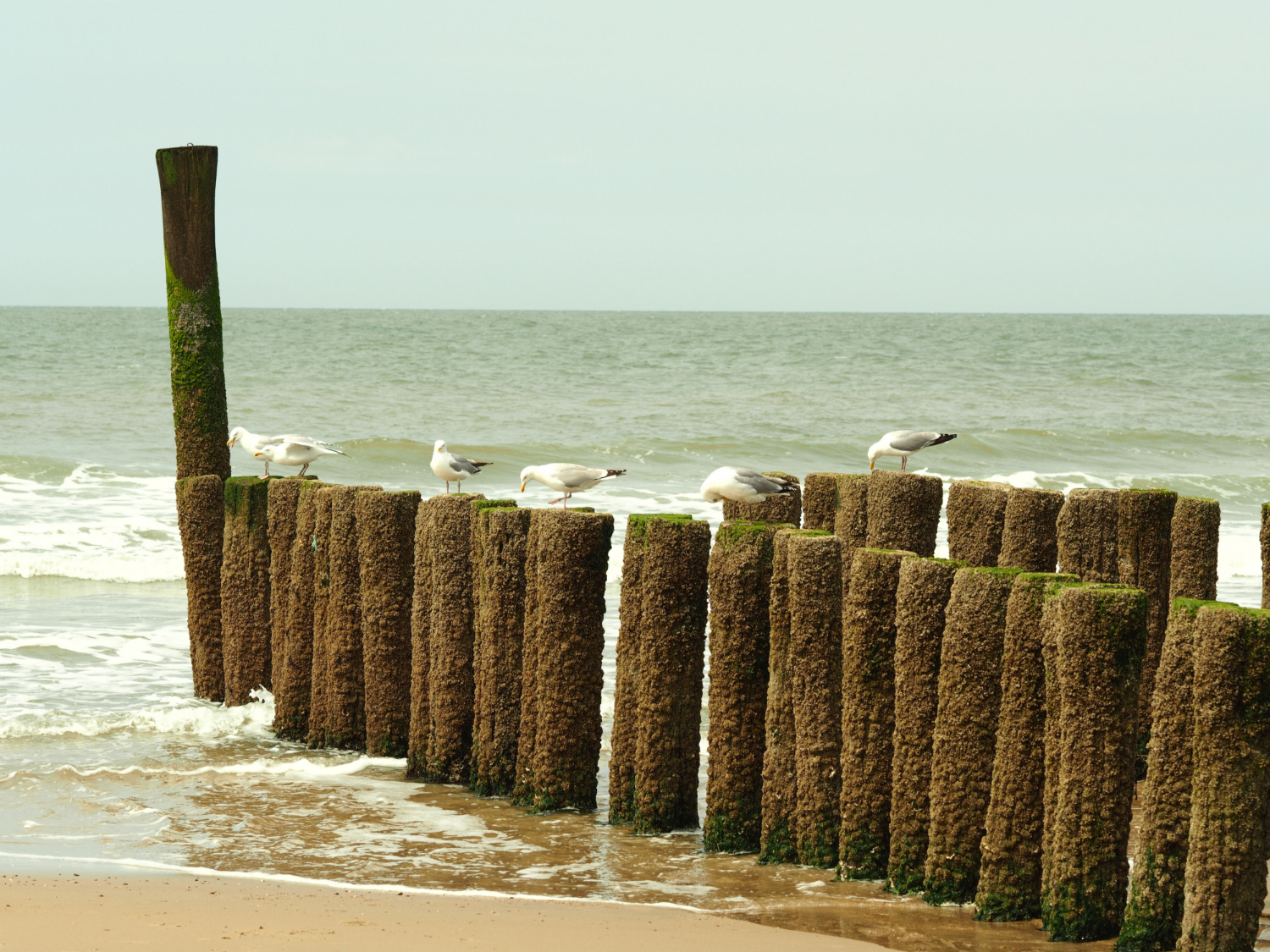 Le Perche en Normandie